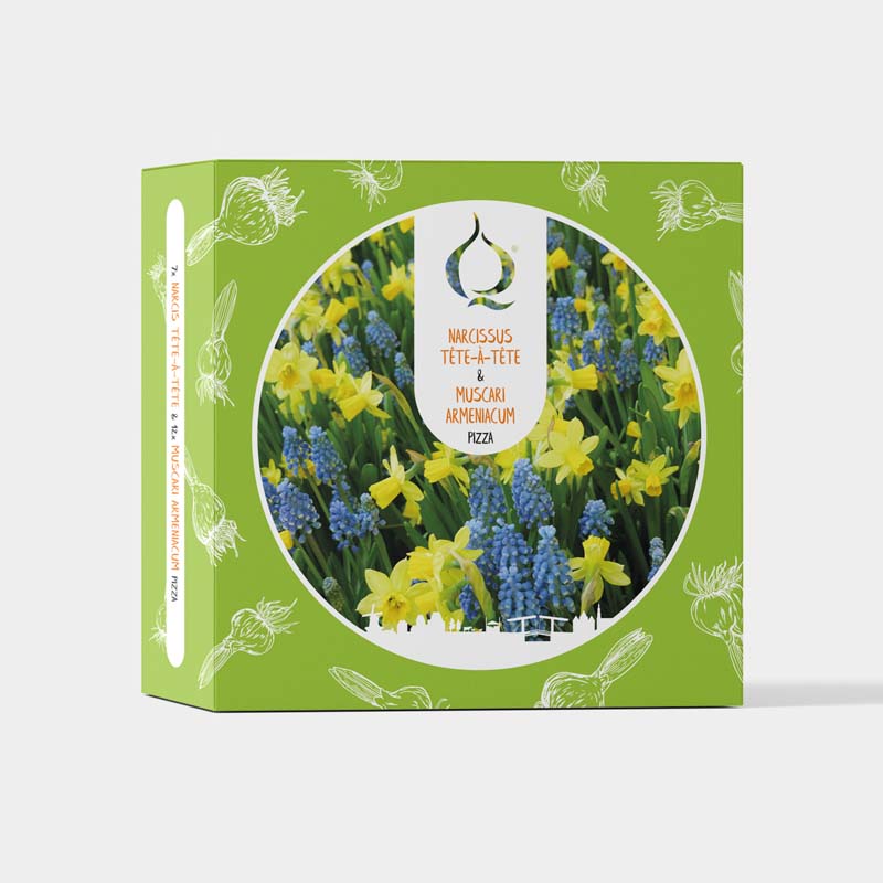 Pizza Jonquille Tête-à-Tête & Muscari Armeniacum avec pelle a planter et gants de jardinage