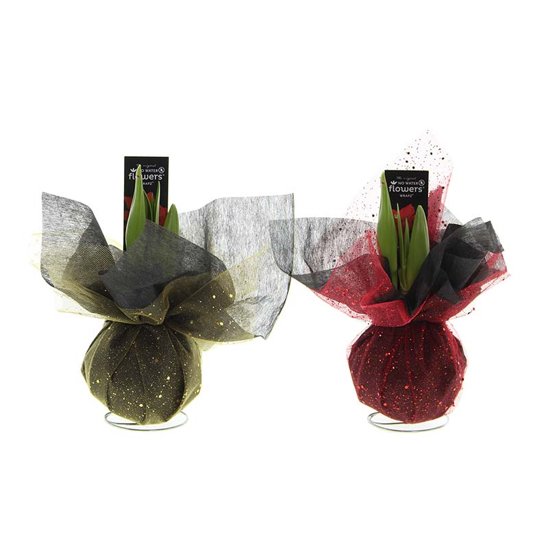 Amaryllis Xmas Wrapz Mix